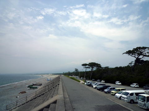 千本松原 静岡県沼津市